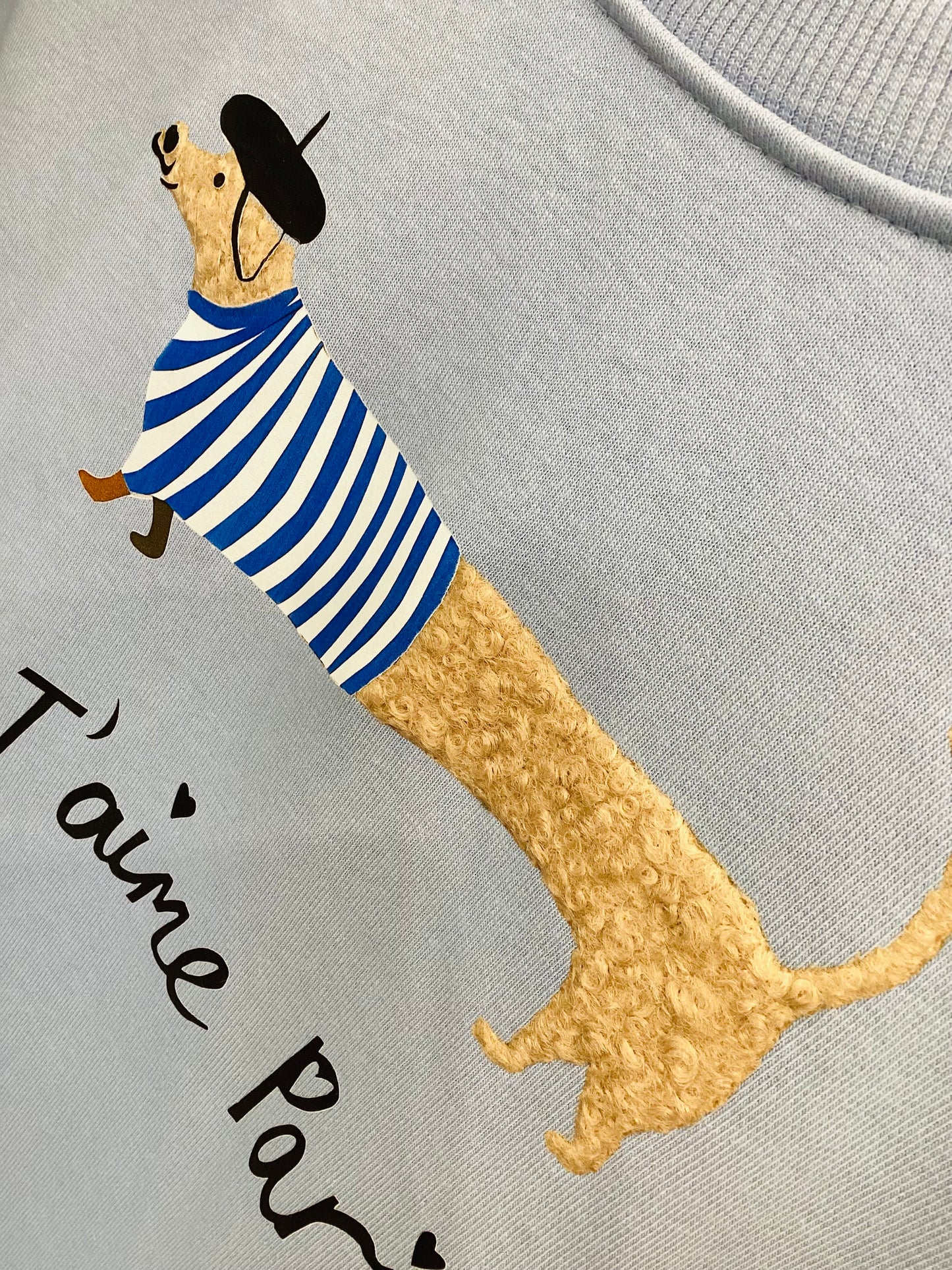 Damen Sweatshirt  Hot-Dog 🐾🦴🐶 One Size 🌷🍋🩵